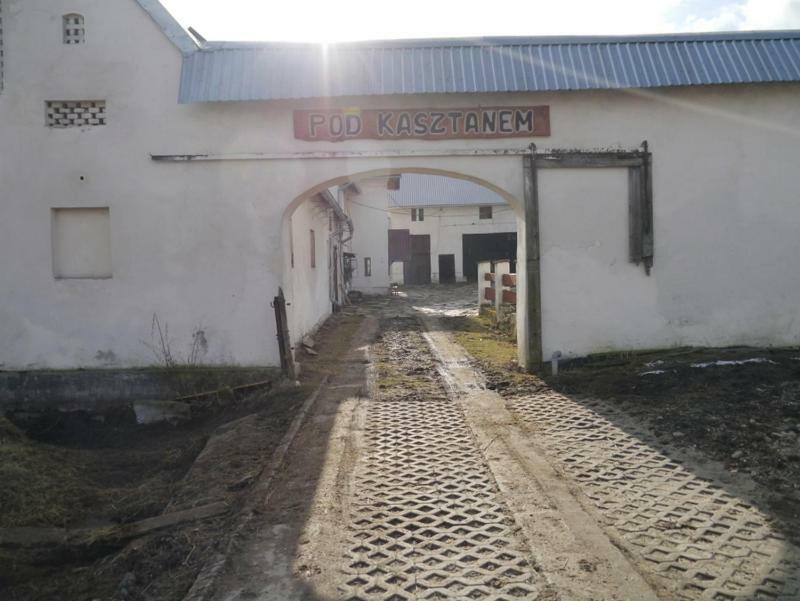Pod Kasztanem Gospodarstwo Agroturystyczne Stronie Śląskie Екстериор снимка