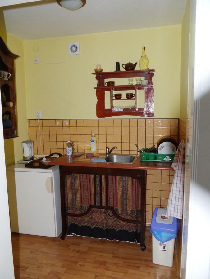 Pod Kasztanem Gospodarstwo Agroturystyczne Stronie Śląskie Екстериор снимка